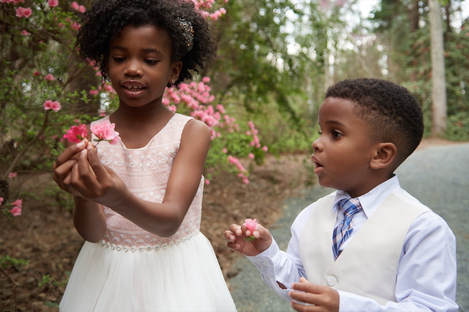 A girl showing a handful of pink blossoms to her brother.