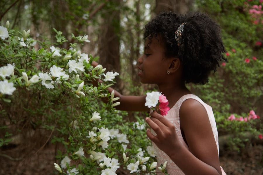 A girl leaning in to smell white flowers on a branch.