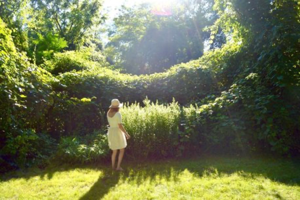 A woman in a white dress walking into tall grass, sun breaking through the trees behind her.